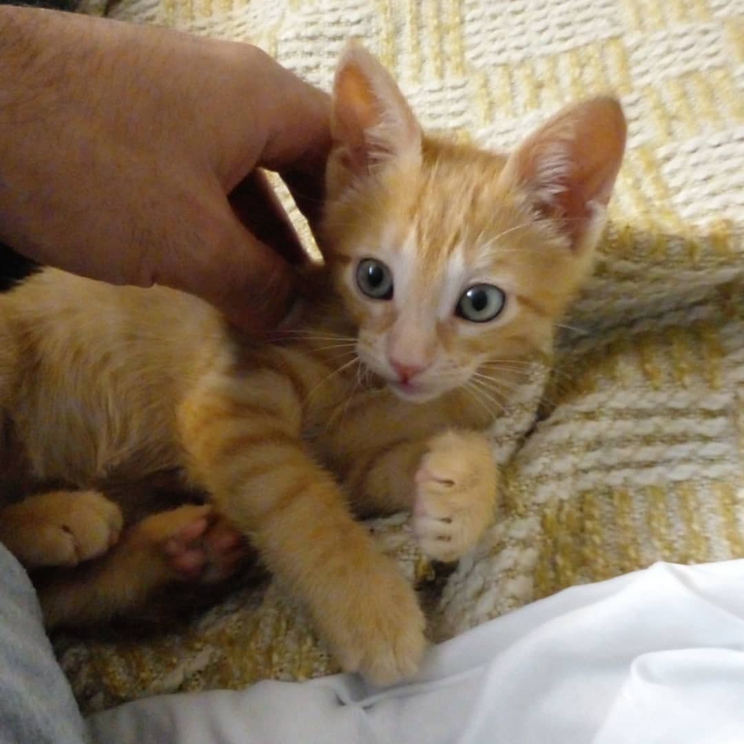 324845496_746586486526943_6435511191840122588_n